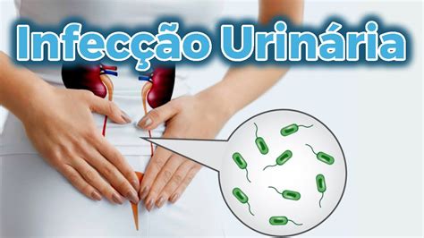 Infeccao De Urina Recorrente Edukita