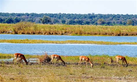 Dorob National Park | Sima Safari