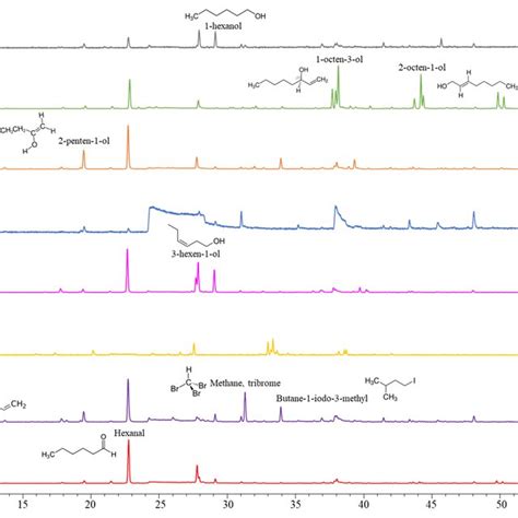 Representative Chromatograms Of The Volatile Organic Compound Profile Download Scientific