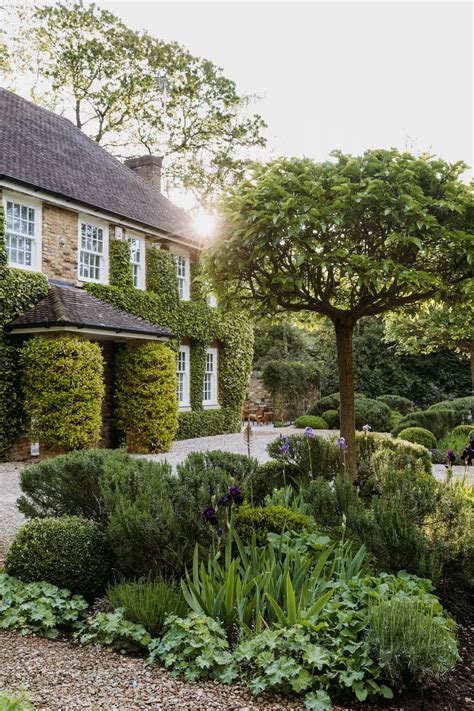 Parterre Garden Plants