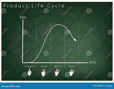 Marketing Concept Of Product Life Cycle Graph Chart Stock Vector