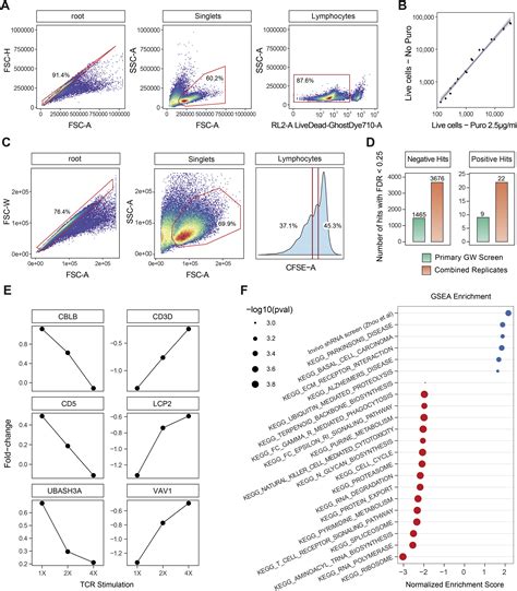 Genome Wide Crispr Screens In Primary Human T Cells Reveal Key