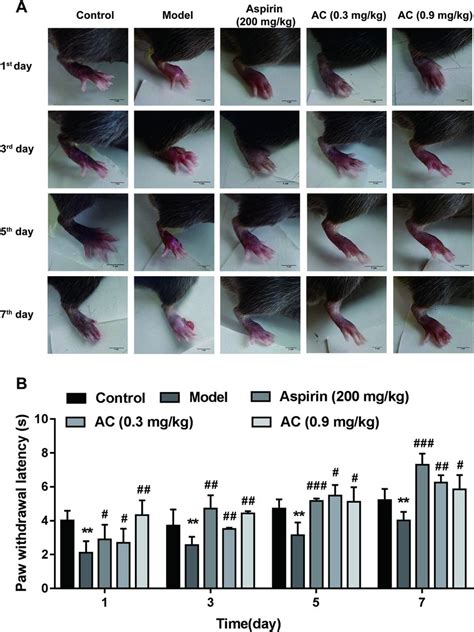 Effects Of Aconitine On Cfa Induced Paw Edema And Thermal Hyperalgesia