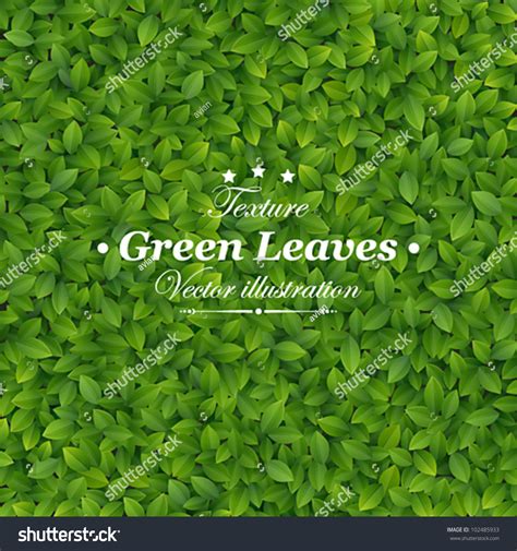 Green Leaves Texture Vector Illustration Stock Vector (Royalty Free) 102485933 | Shutterstock