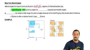 Beta Turns | Channels for Pearson+