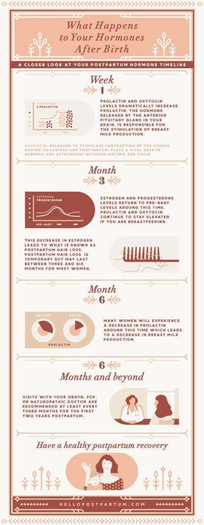 Your Postpartum Hormone Timeline: Here’s What Happens – Hello Postpartum