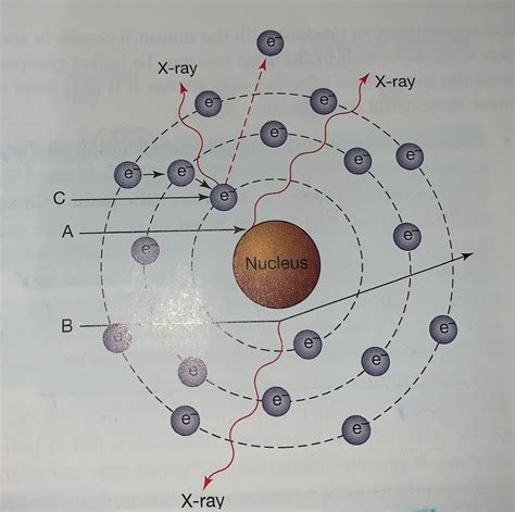 Chapter 2: General and Characteristic Radiation Figure Diagram | Quizlet