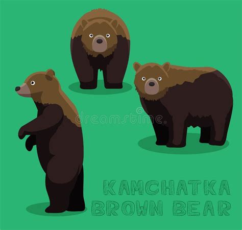 Kamchatka Brown Bear Cartoon Vector Illustration Stock Vector