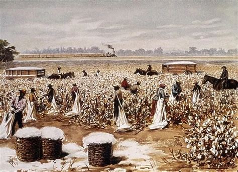 Cotton Plantation Our beautiful Wall Art and Photo Gifts include Framed ...