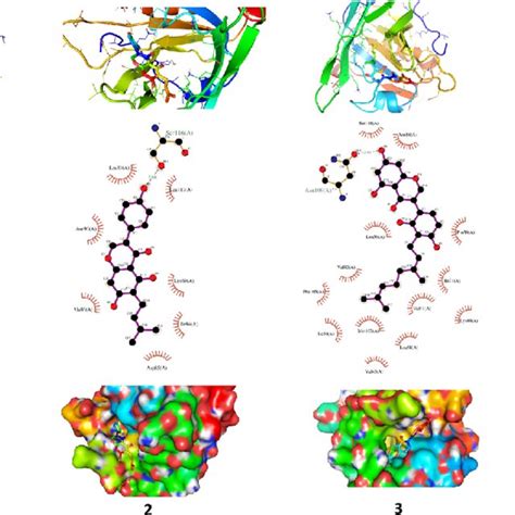 Binding Interactions Of Compounds With Blg The Tube Model Shows