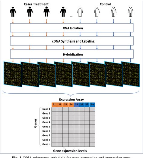 Figure From A Survey On Computational Learning Methods For Analysis