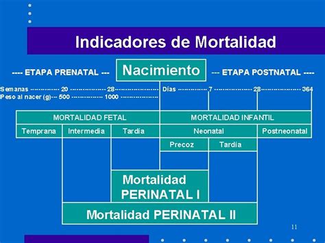 Epidemiologa Y Salud Materno Infantil Programa Materno Infantil