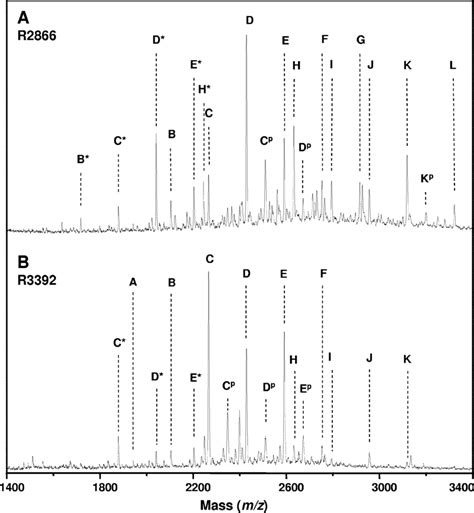 Negative Ion MALDI Time Of Flight Mass Spectra Of Dephosphorylated