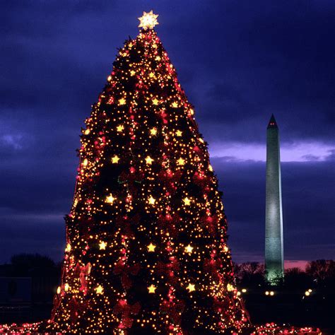 National Christmas Tree By The White Photograph By Hisham Ibrahim