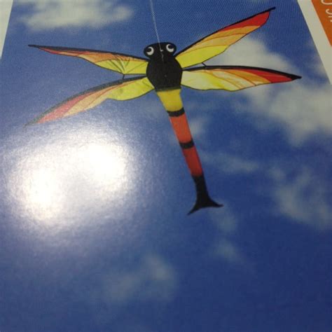 Dragonfly Kite article number 105104