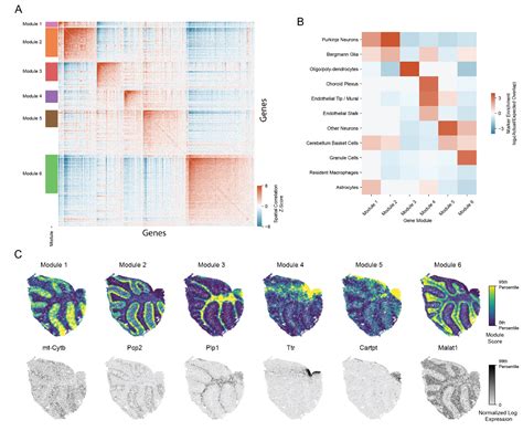 Open Access Identifying Informative Gene Modules Across Modalities Of