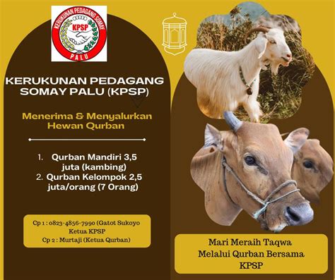 Kpsp Sediakan Penerimaan Dan Penyaluran Hewan Qurban Jelang Idul Adha