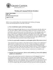 PHI105 T5 ThinkingandLanguageReflectionWorksheet Jason Schultz Docx