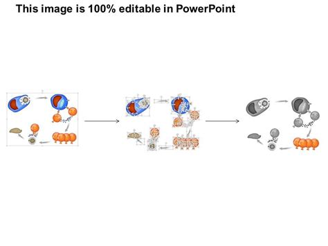 0914 Cell Mediated Immunity Medical Images For Powerpoint | Templates ...