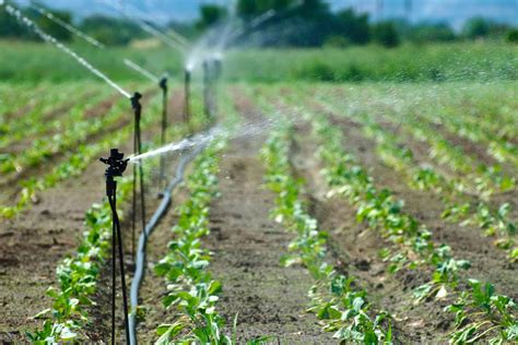 Como Montar Um Sistema De Irriga O Eficiente Para O Jardim Dicas