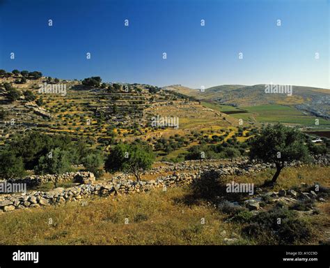 Shepherds' Fields, Bethlehem, Israel Stock Photo - Alamy