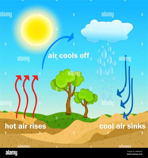 Convection Process Diagram Warm Air Rises And Cool Air Sinks Hot And Cooler Air Masses