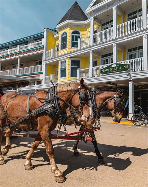 Mackinac Island Horse Accident June 18 2024 - Eddie Gwennie