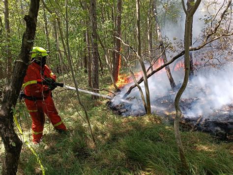 Sotto Controllo L Incendio Sul Carso Sloveno