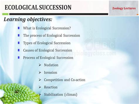 Solution Process Of Ecological Succession Studypool