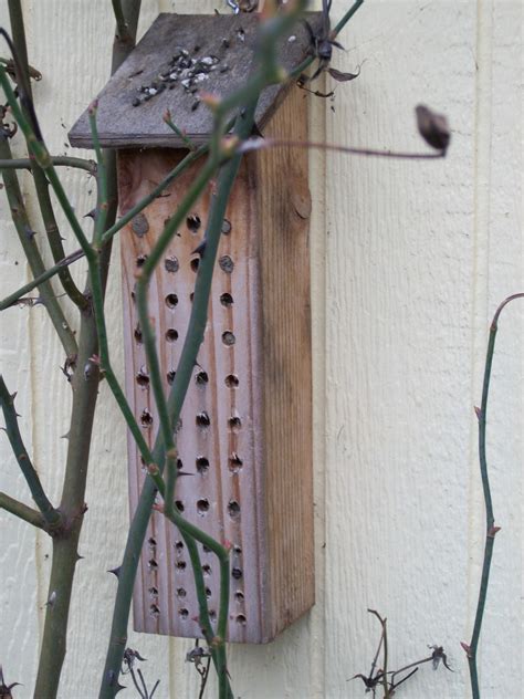 A Whole 'Nother Bee Blog: Mason Bee Houses