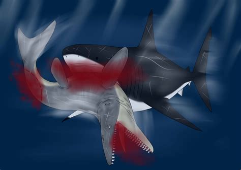 Mosasaur Vs Megalodon