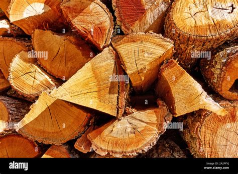 Firewood Butt Ends Of Chopped Wood Logs Wooden Textured Background