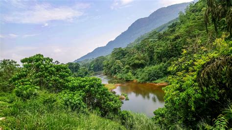 Kelani River - Sri Lanka wallpaper - backiee