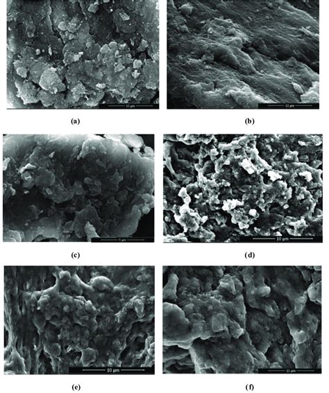 SEM Micrographs Of Chitosan Modified ZnO Nanoparticles Samples A C1