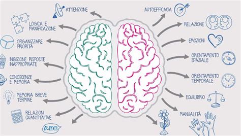 Neuro Plasticità del Cervello invecchiare bene si può