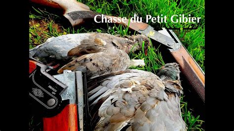 Chasse Au Petit Gibier Perdrix Faisans Pigeons Youtube