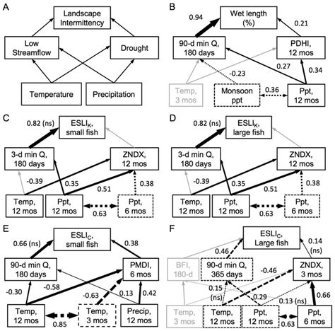 Summary Of Structural Equation Models Schematic Representation Of