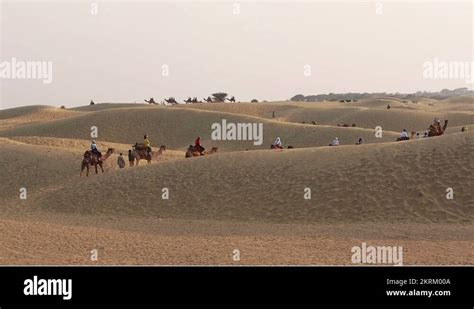 Thar desert animals Stock Videos & Footage - HD and 4K Video Clips - Alamy