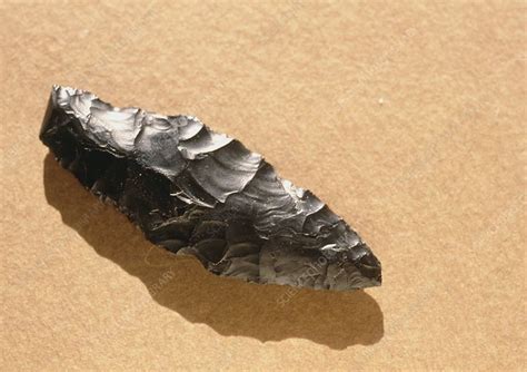 A Levallois Flake Or Point Made By Neanderthal Man Stock Image E436