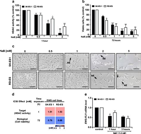 HDAC Inhibition By NaB Hinders The Growth Of EWS Cells A HDAC Activity