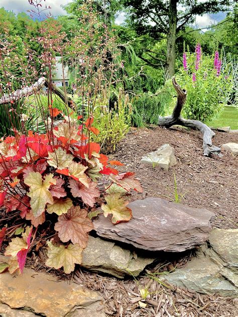 edwards garden center