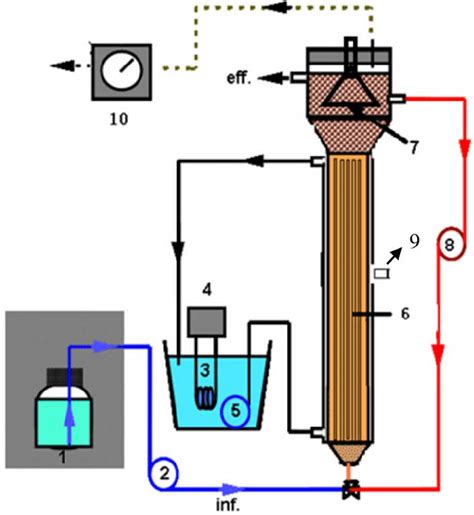 | Schematic of the Anammox enrichment reactor: (1) feed tank, (2 ...