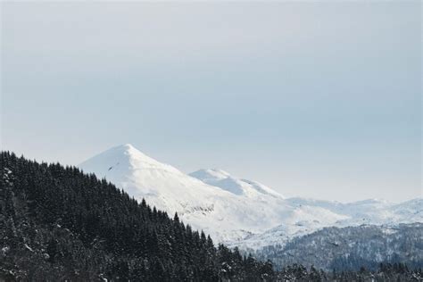 Hardangerfjord Exclusive Snowshoe Hike With Majestic Views Getyourguide