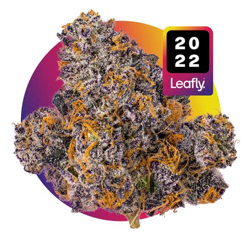 Jealousy Weed Strain Information Leafly