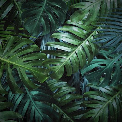 Tropical Leaves Background By Myimagine On Creativemarket Leaf Background Tropical Leaves