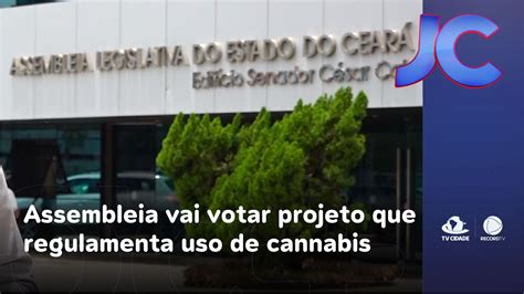 Assembleia Vai Votar Projeto Que Regulamenta Uso De Cannabis Medicinal