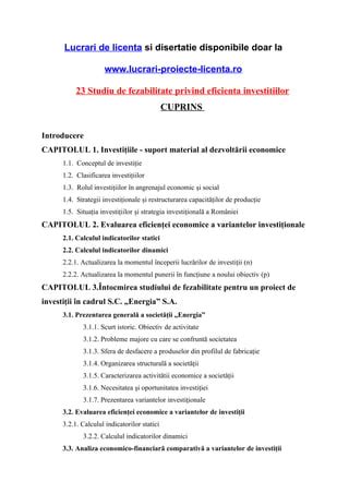 23 Studiu De Fezabilitate Privind Eficienta Investitiilor Copy PDF