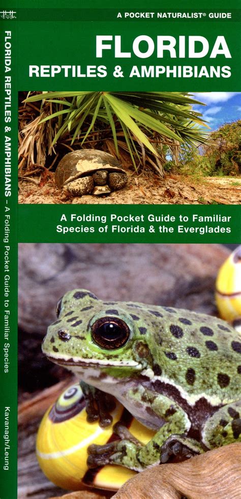 Florida Reptiles And Amphibians Pocket Naturalist® Guide