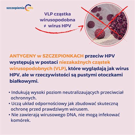 Jak zbudowane są szczepionki przeciw HPV Szczepienia Info