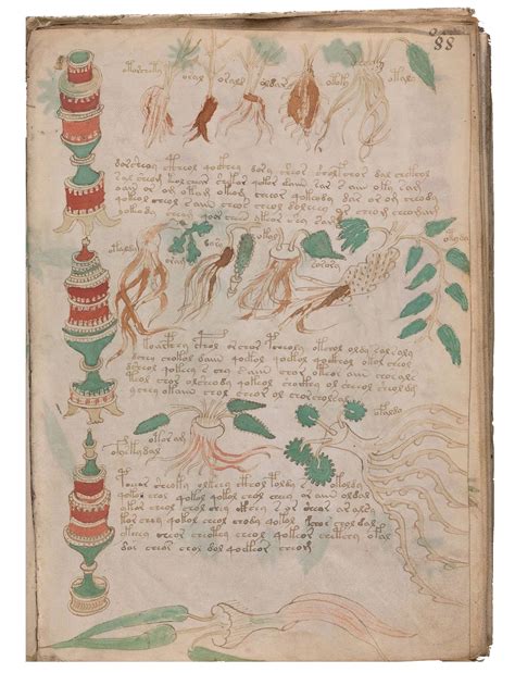 Il Manoscritto Voynich